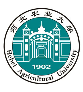 鹿泉河北农业大学